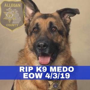 Meet your Posher, Gary